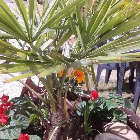 Il Borgo Dei Molini 3* Torreglia