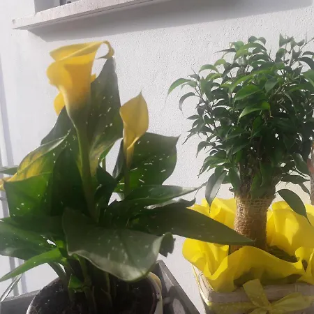 Il Borgo Dei Molini Oda ve Kahvaltı Torreglia