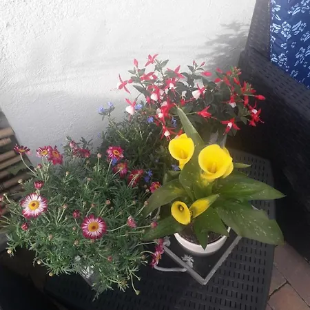 Bed & Breakfast Il Borgo Dei Molini