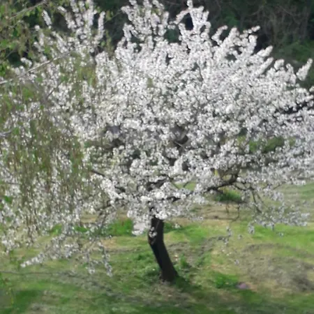 Il Borgo Dei Molini