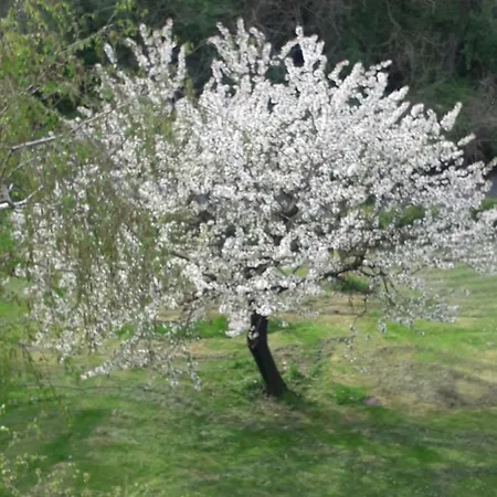 Il Borgo Dei Molini * Torreglia