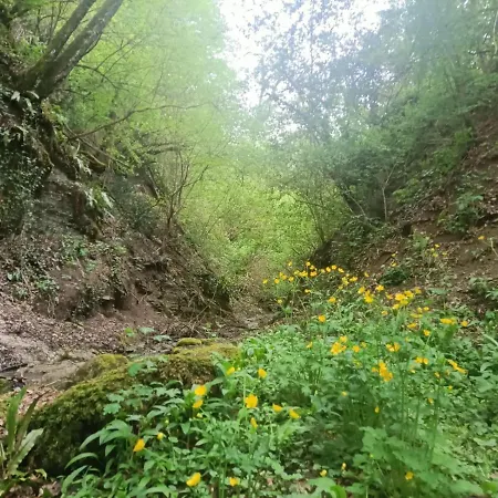 Il Borgo Dei Molini *