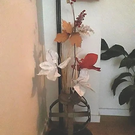 Il Borgo Dei Molini לינה וארוחת בוקר Torreglia