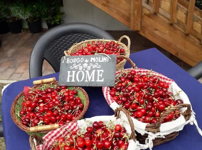 Bed & Breakfast Il Borgo Dei Molini Torreglia