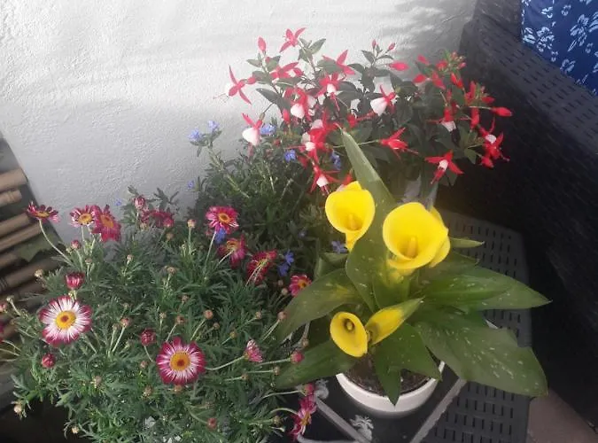 Bed & Breakfast Il Borgo Dei Molini