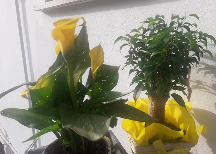 Il Borgo Dei Molini Bed & Breakfast Torreglia