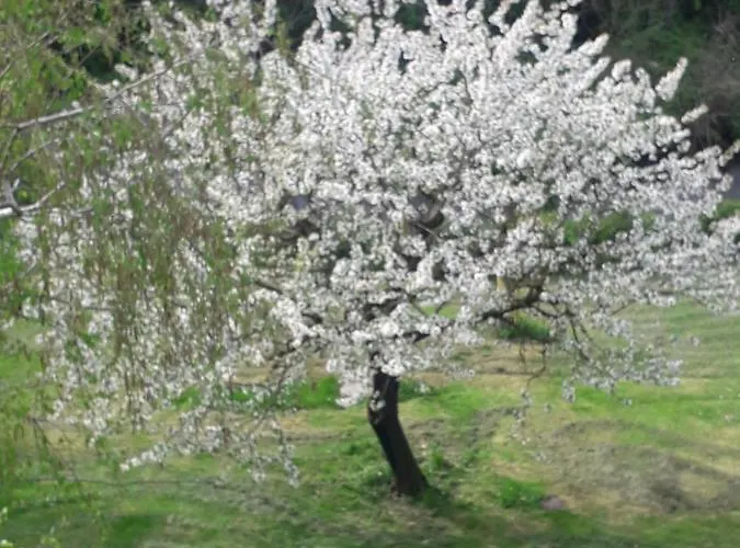 Il Borgo Dei Molini 3* Torreglia